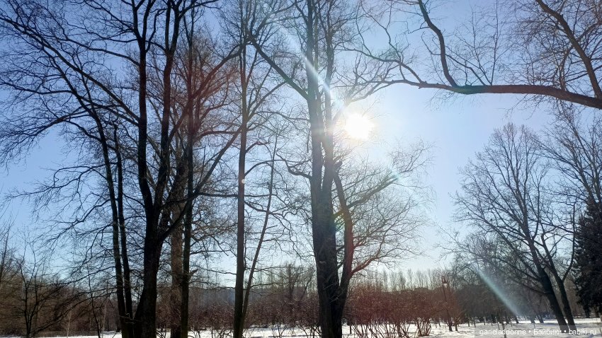 Для прекрасных леди!( В поисках обетованной земли)