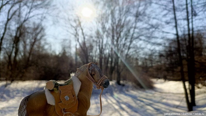 Для прекрасных леди!( В поисках обетованной земли)