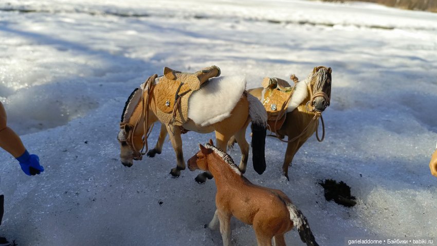 Для прекрасных леди!( В поисках обетованной земли) (фото 10)