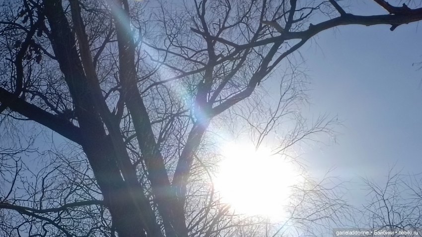 Для прекрасных леди!( В поисках обетованной земли)