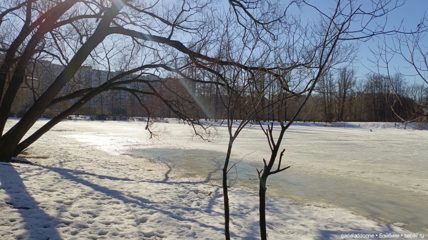Для прекрасных леди!( В поисках обетованной земли)