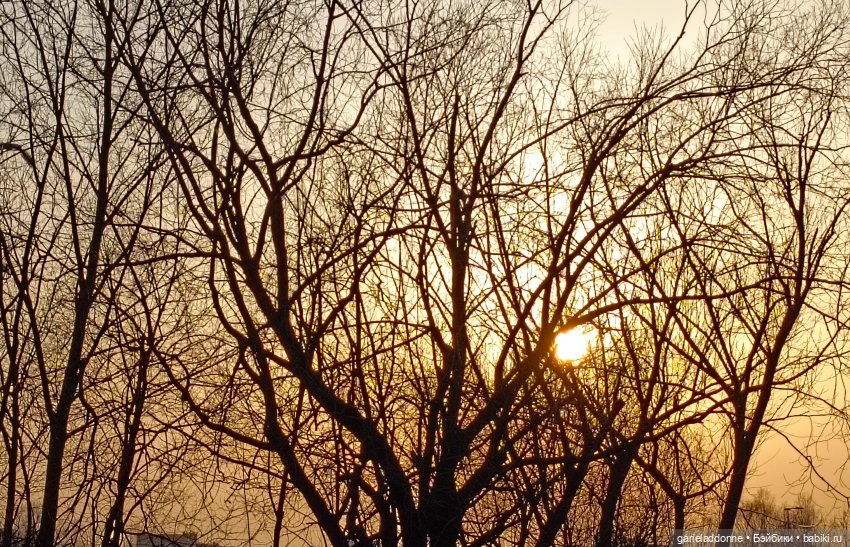 Костяные свистки 1 часть — Зарисовки из кукольной жизни: фотоистории