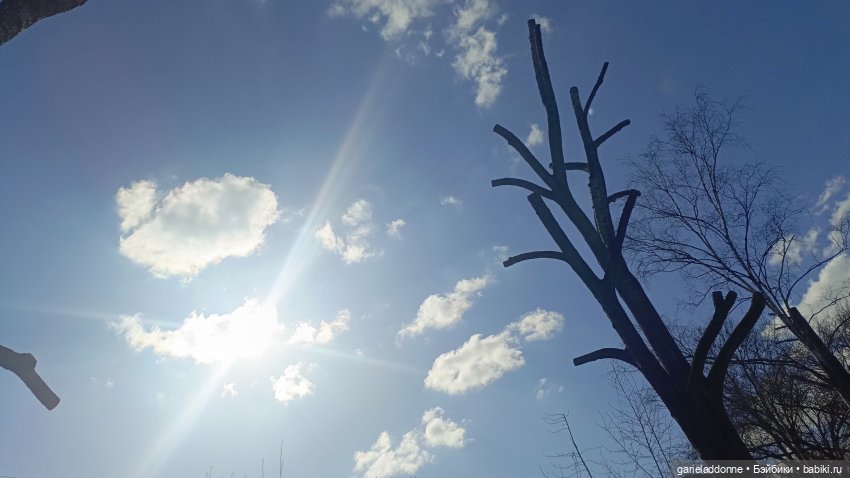 Костяные свистки 1 часть — Зарисовки из кукольной жизни: фотоистории