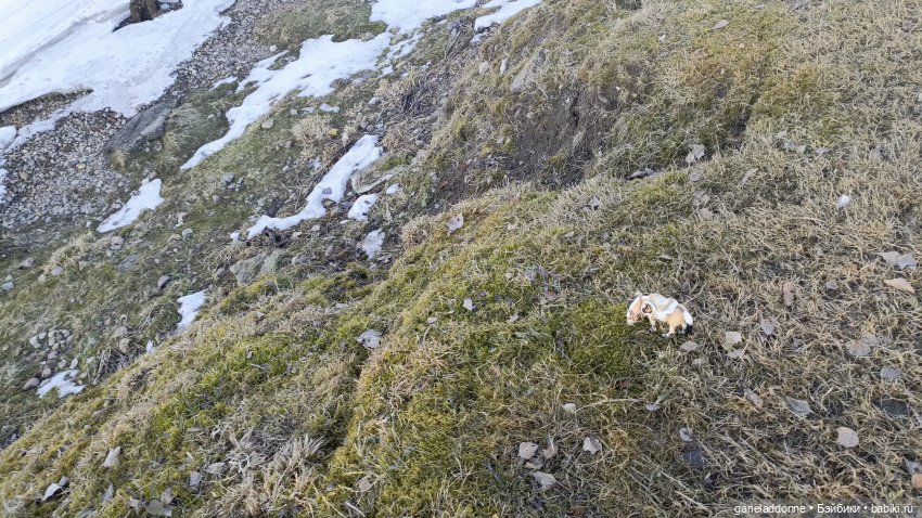 Костяные свистки 1 часть — Зарисовки из кукольной жизни: фотоистории