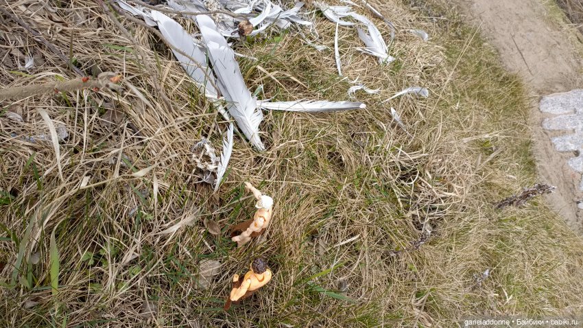 Костяные свистки 3 часть — Зарисовки из кукольной жизни: фотоистории