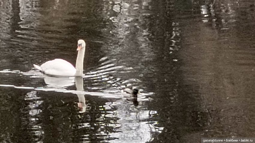 Костяные свистки 3 часть — Зарисовки из кукольной жизни: фотоистории