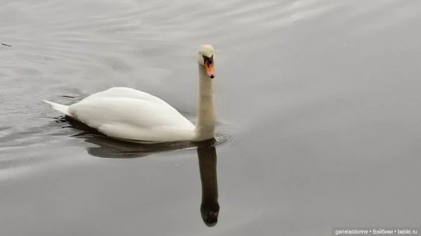 Костяные свистки 3 часть — Зарисовки из кукольной жизни: фотоистории