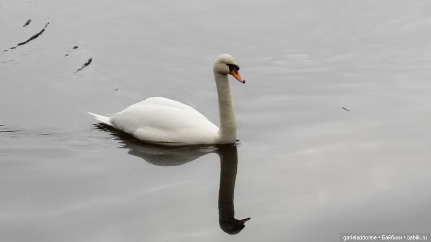 Костяные свистки 3 часть — Зарисовки из кукольной жизни: фотоистории