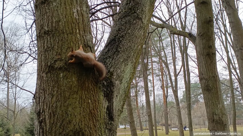 Костяные свистки 3 часть — Зарисовки из кукольной жизни: фотоистории