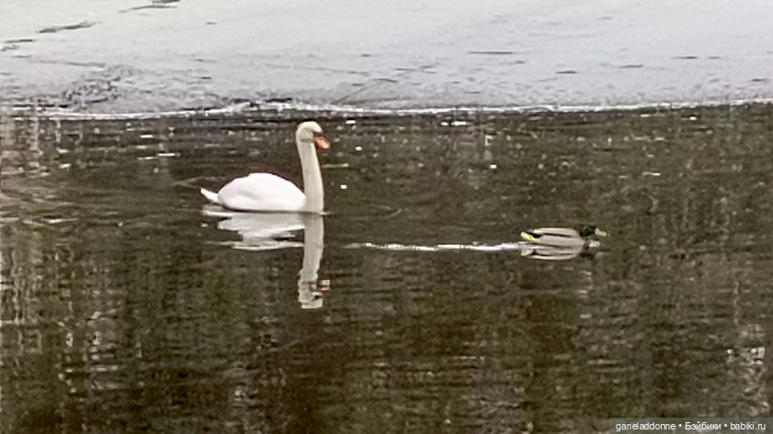 Костяные свистки 3 часть — Зарисовки из кукольной жизни: фотоистории
