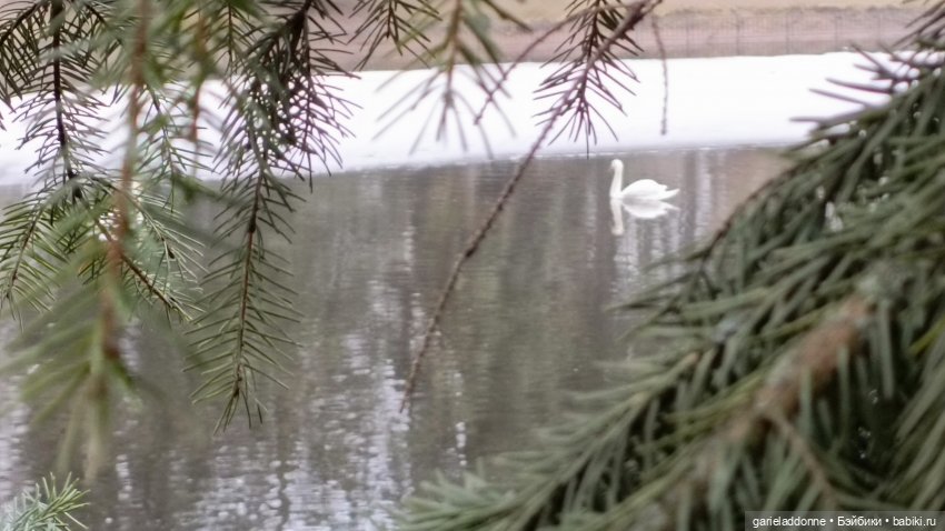 Костяные свистки 3 часть — Зарисовки из кукольной жизни: фотоистории