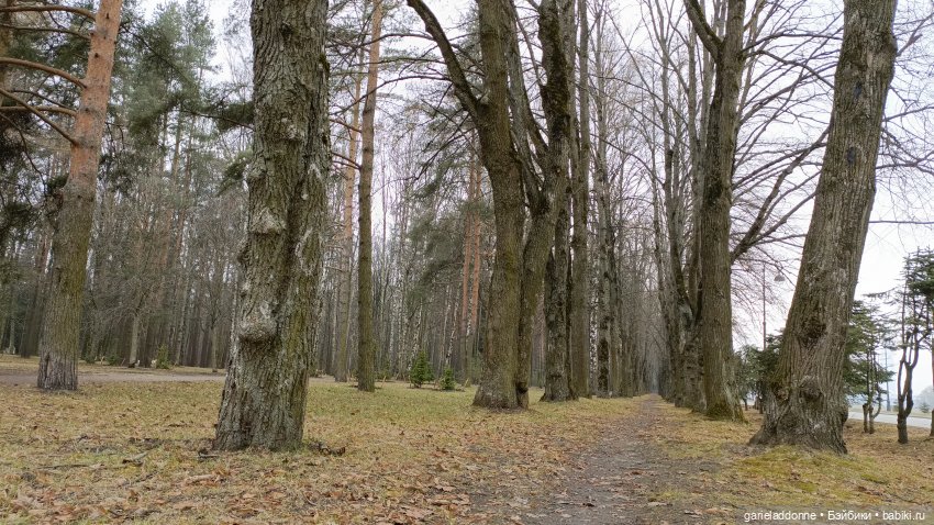 Костяные свистки 3 часть — Зарисовки из кукольной жизни: фотоистории