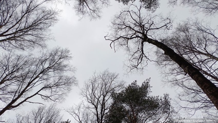 Костяные свистки 3 часть — Зарисовки из кукольной жизни: фотоистории