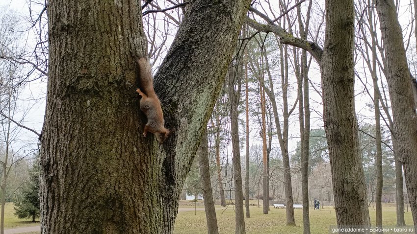 Костяные свистки 3 часть — Зарисовки из кукольной жизни: фотоистории