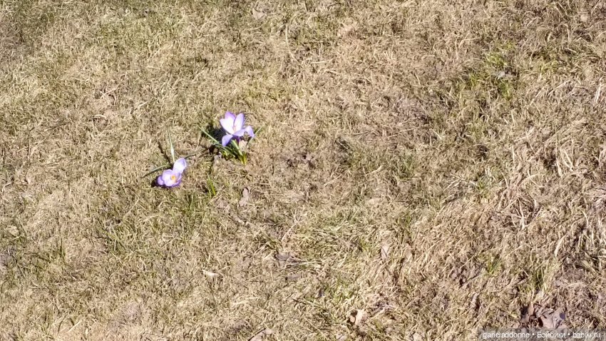 Костяные свистки 5 часть — Зарисовки из кукольной жизни: фотоистории (фото 4)