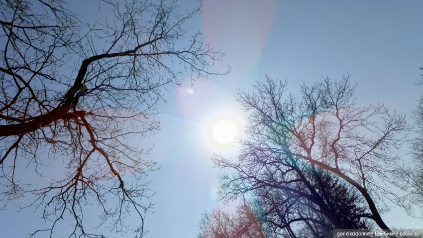 Костяные свистки 5 часть — Зарисовки из кукольной жизни: фотоистории