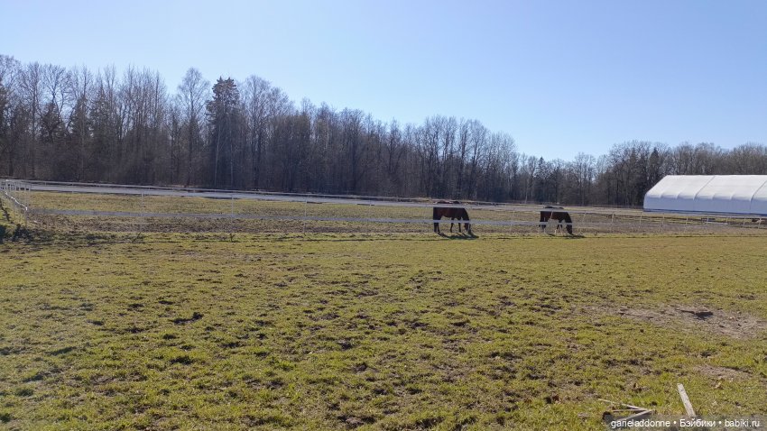 Костяные свистки 5 часть — Зарисовки из кукольной жизни: фотоистории (фото 6)