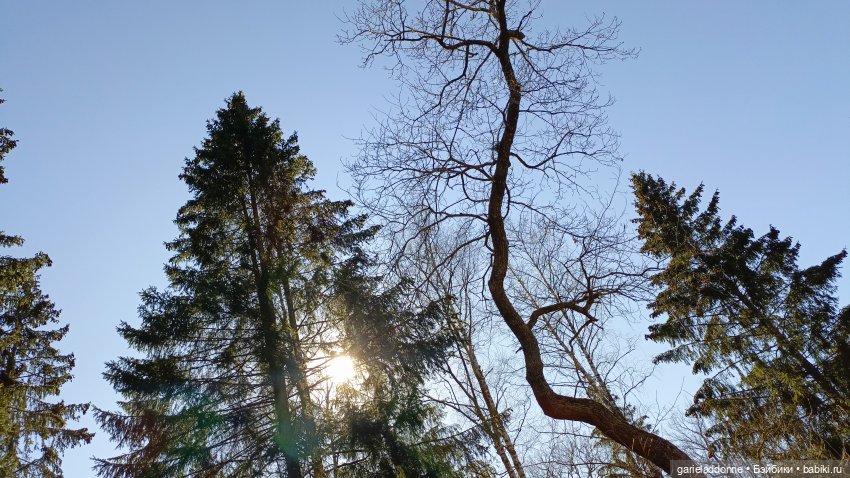 Костяные свистки 5 часть — Зарисовки из кукольной жизни: фотоистории