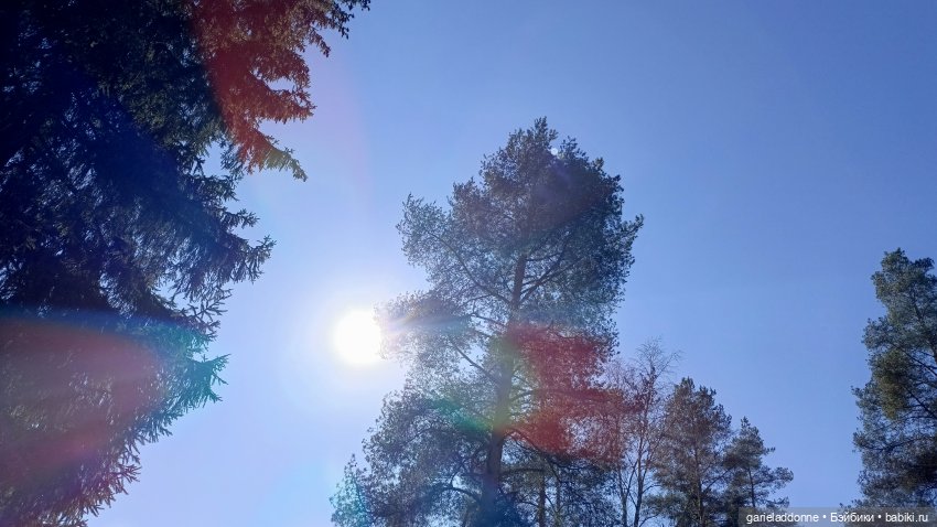 Костяные свистки 5 часть — Зарисовки из кукольной жизни: фотоистории