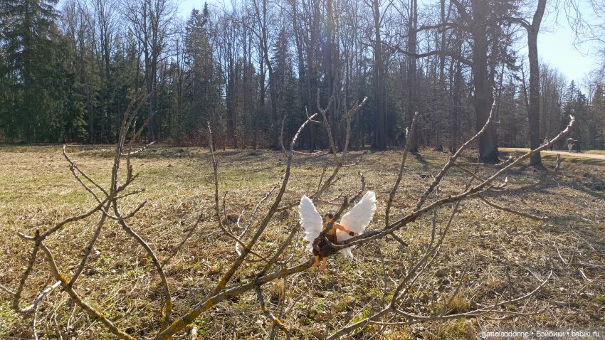Костяные свистки 5 часть — Зарисовки из кукольной жизни: фотоистории