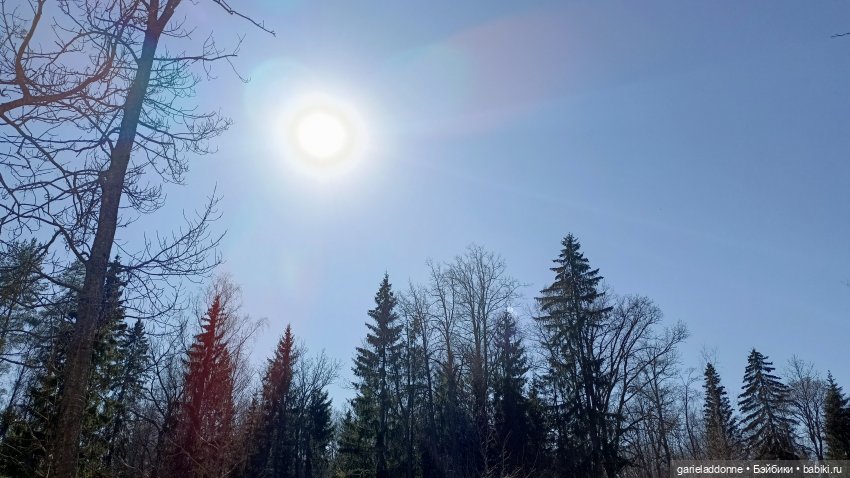 Костяные свистки 5 часть — Зарисовки из кукольной жизни: фотоистории