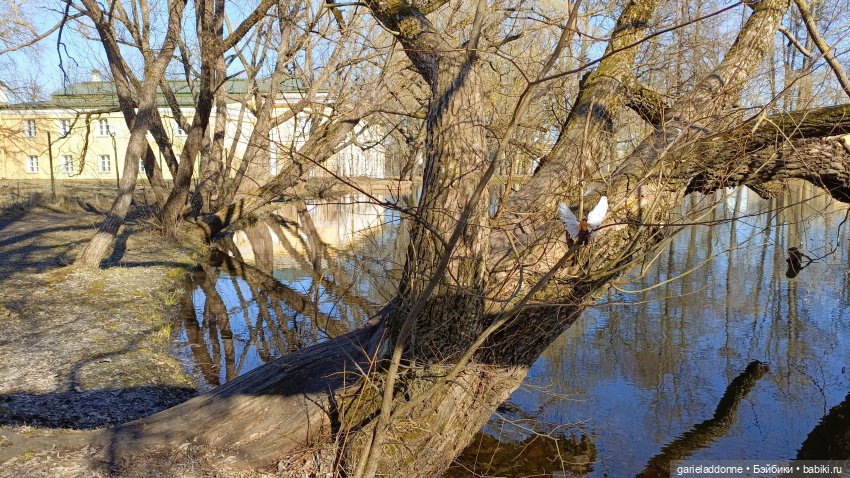 Костяные свистки 5 часть — Зарисовки из кукольной жизни: фотоистории