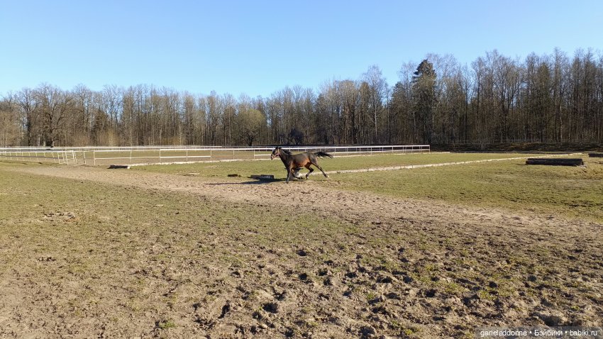 Костяные свистки 5 часть — Зарисовки из кукольной жизни: фотоистории (фото 7)