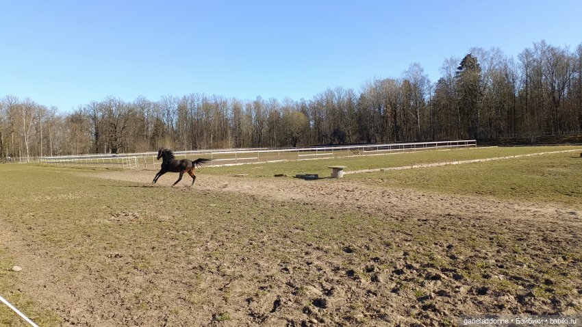 Костяные свистки 5 часть — Зарисовки из кукольной жизни: фотоистории (фото 8)