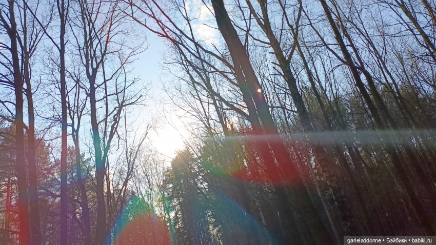 Ведьмочка гуляет в лесу — Туризм и путешествия: фотоотчеты из поездок