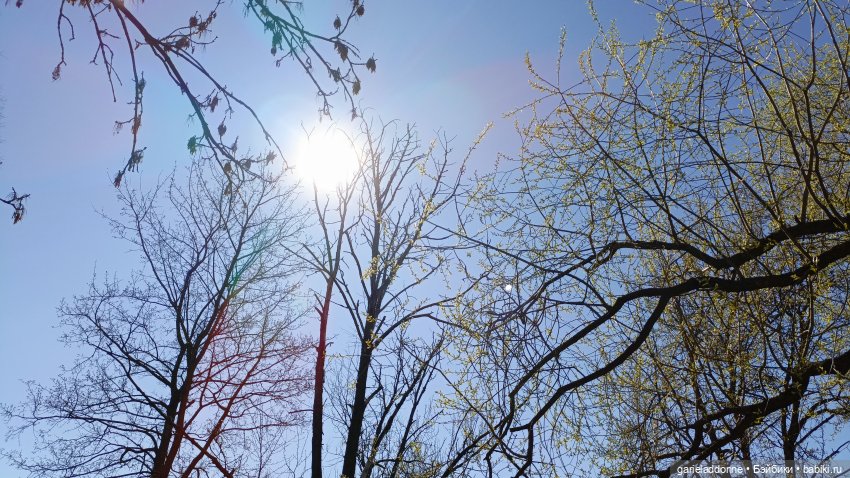 Костяные свистки часть 7 — Зарисовки из кукольной жизни: фотоистории