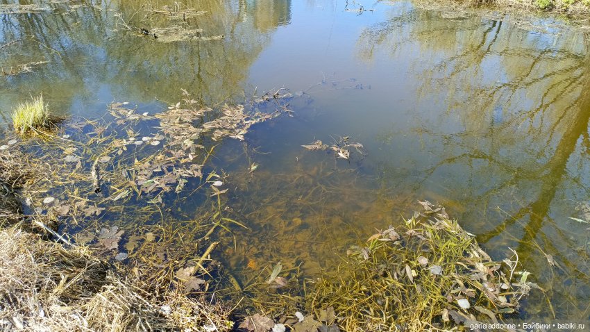 Костяные свистки часть 8 — Зарисовки из кукольной жизни: фотоистории