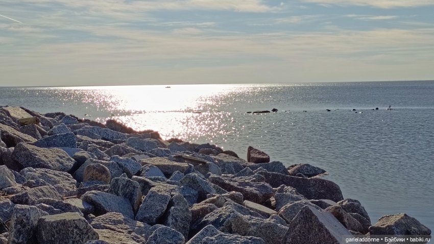 Костяные свистки часть 7 — Зарисовки из кукольной жизни: фотоистории