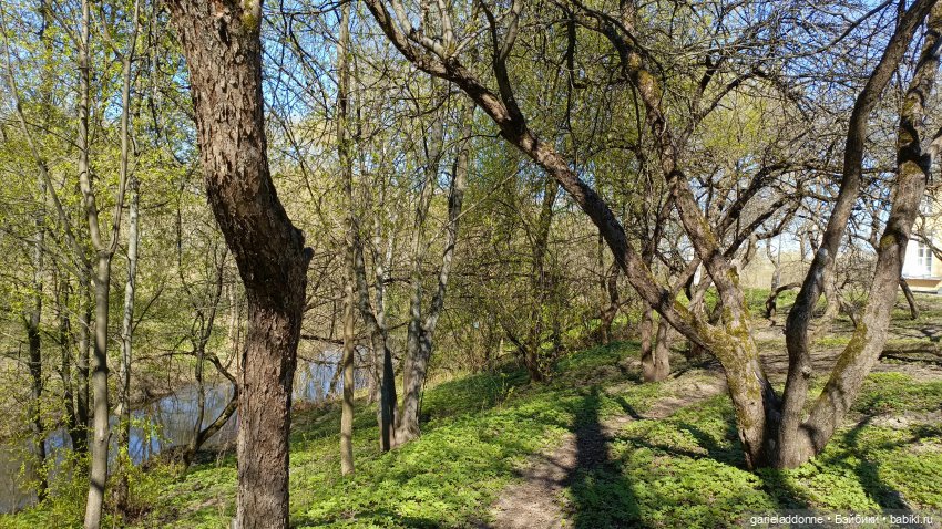 Костяные свистки часть 7 — Зарисовки из кукольной жизни: фотоистории