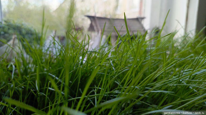 Костяные свистки финал — Зарисовки из кукольной жизни: фотоистории