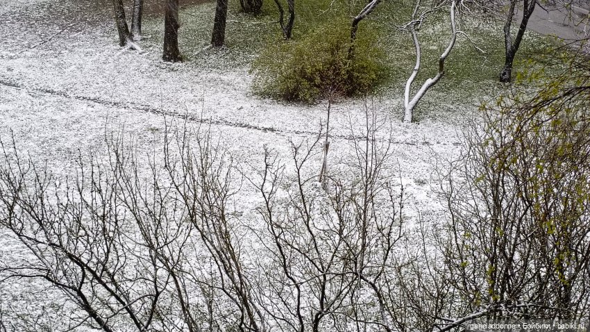 Просто жизнь на полочках и не только
