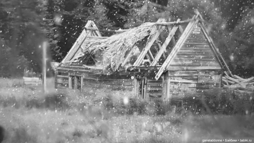 Гость | Бэйбики Гость — Зарисовки из кукольной жизни: фотоистории