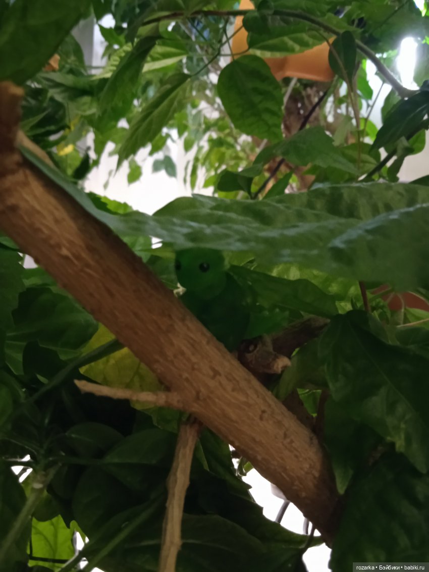 Гибриды шарнирных кукол (не БЖД): подбор тела (фото 9)