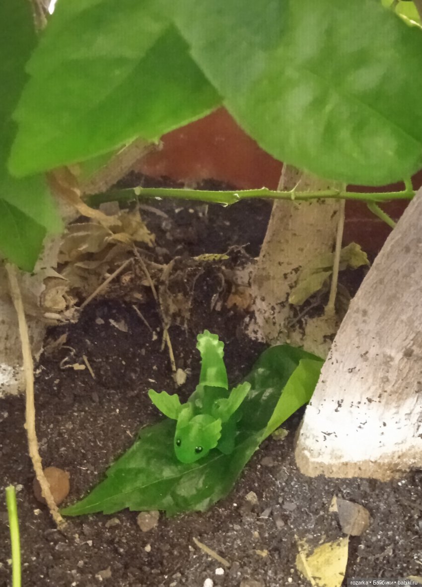 Великая Драконья Скорбь — Разные шарнирные куклы (не БЖД): редкие (фото 7)