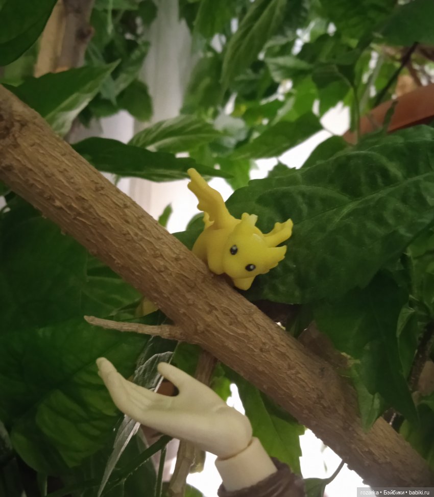 Великая Драконья Скорбь — Разные шарнирные куклы (не БЖД): редкие (фото 6)