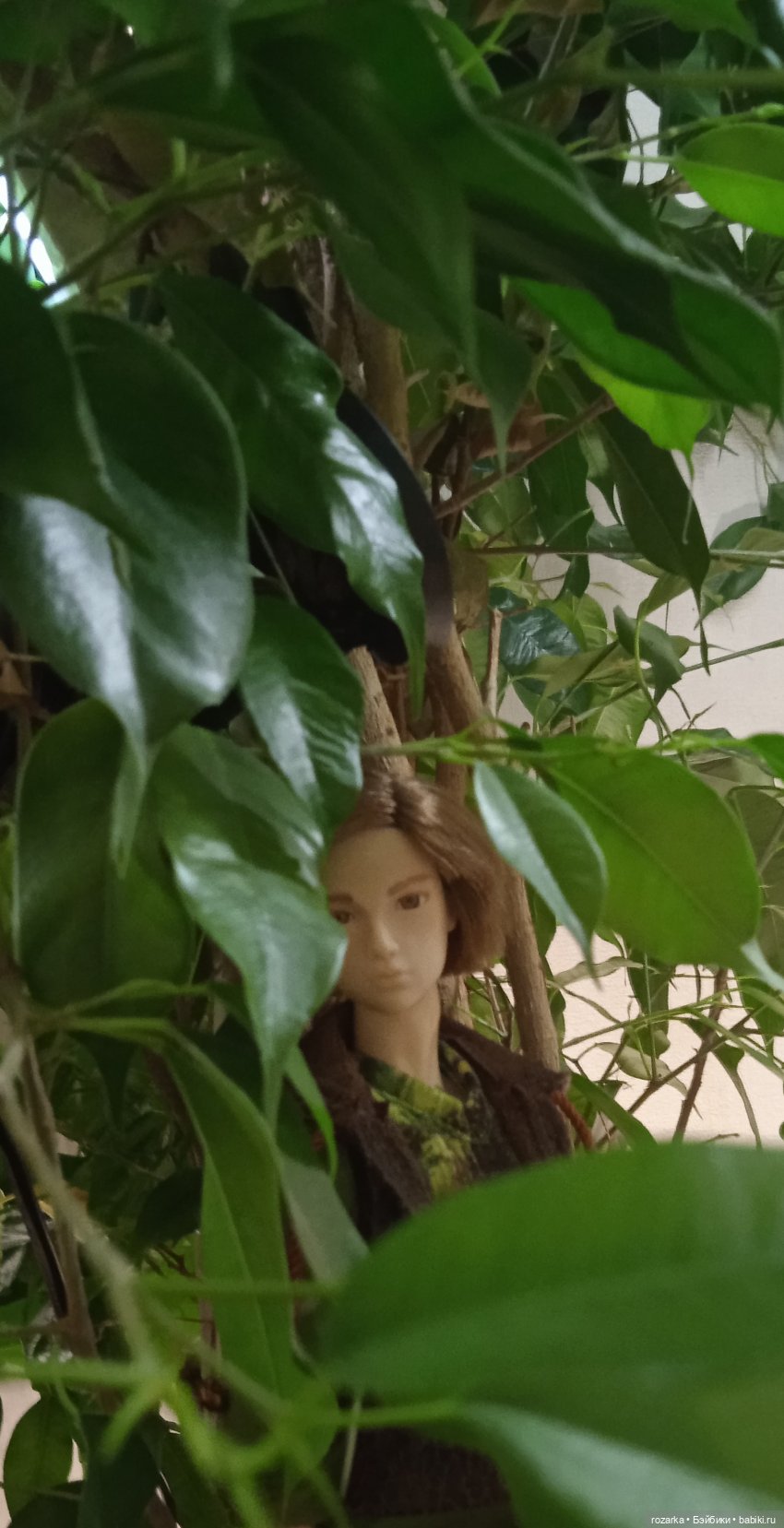 Великая Драконья Скорбь — Разные шарнирные куклы (не БЖД): редкие