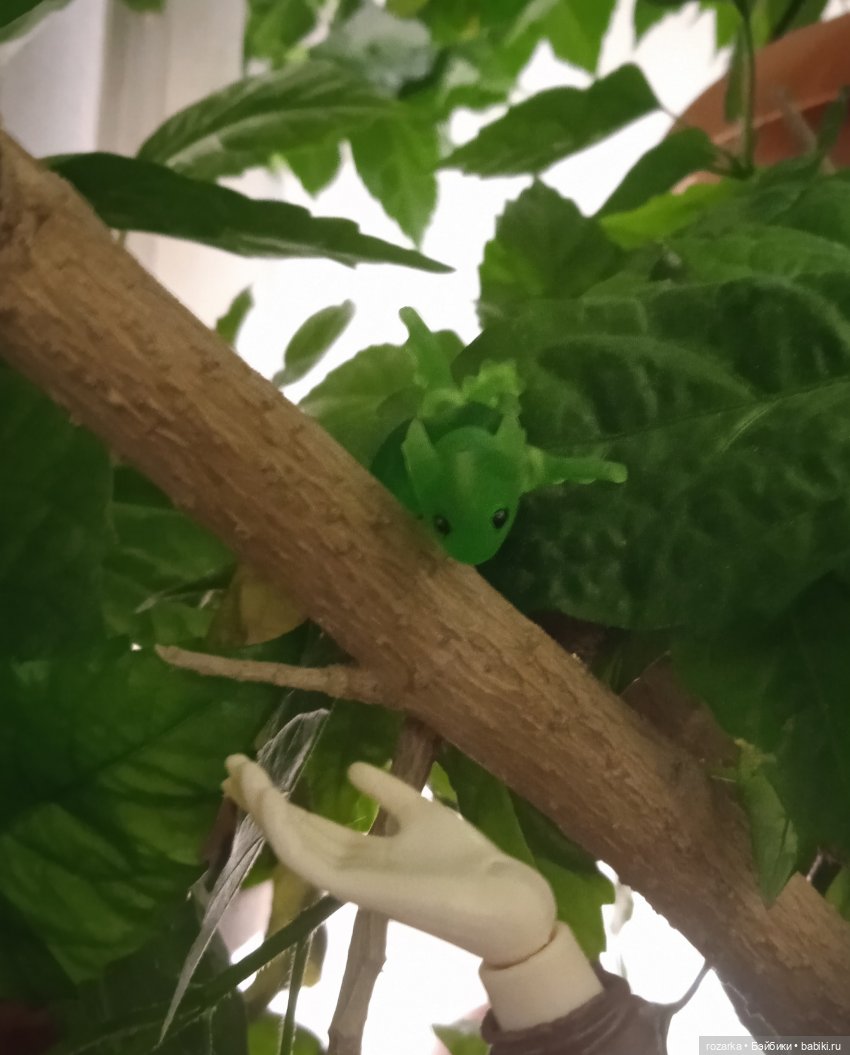 Великая Драконья Скорбь — Разные шарнирные куклы (не БЖД): редкие (фото 5)