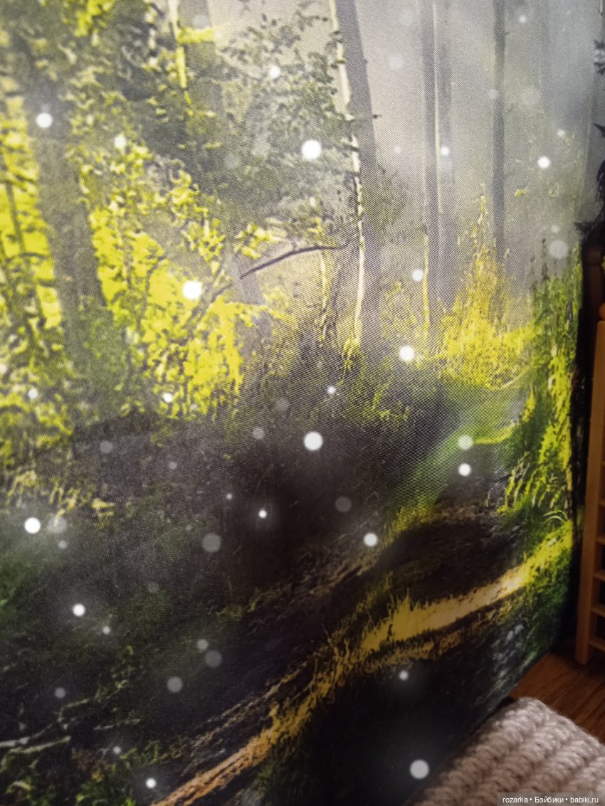 Мальчик и Лис. И грифон Ася