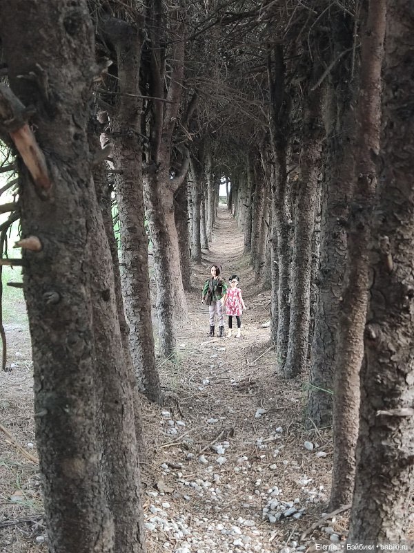 Прогулка клуба юных натуралистов (фото 3)