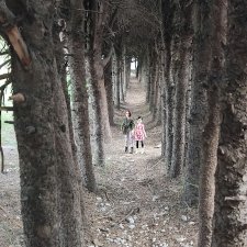 Прогулка клуба юных натуралистов.