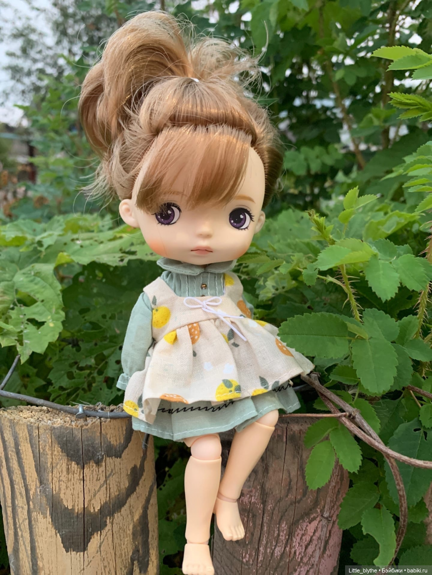 Вот моя малышка)недавно приехала ко мне😍🤗