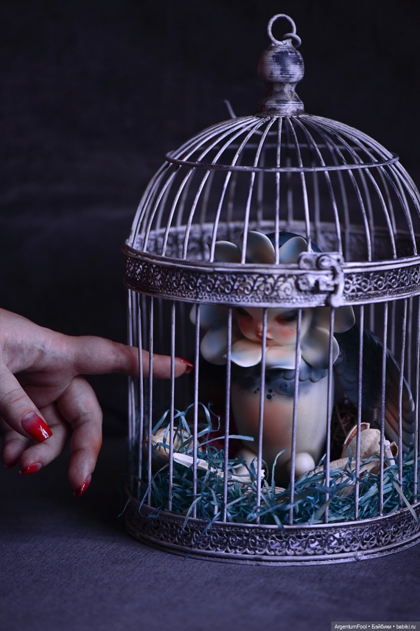 Черноглазые птицы и цветок (фото 3)