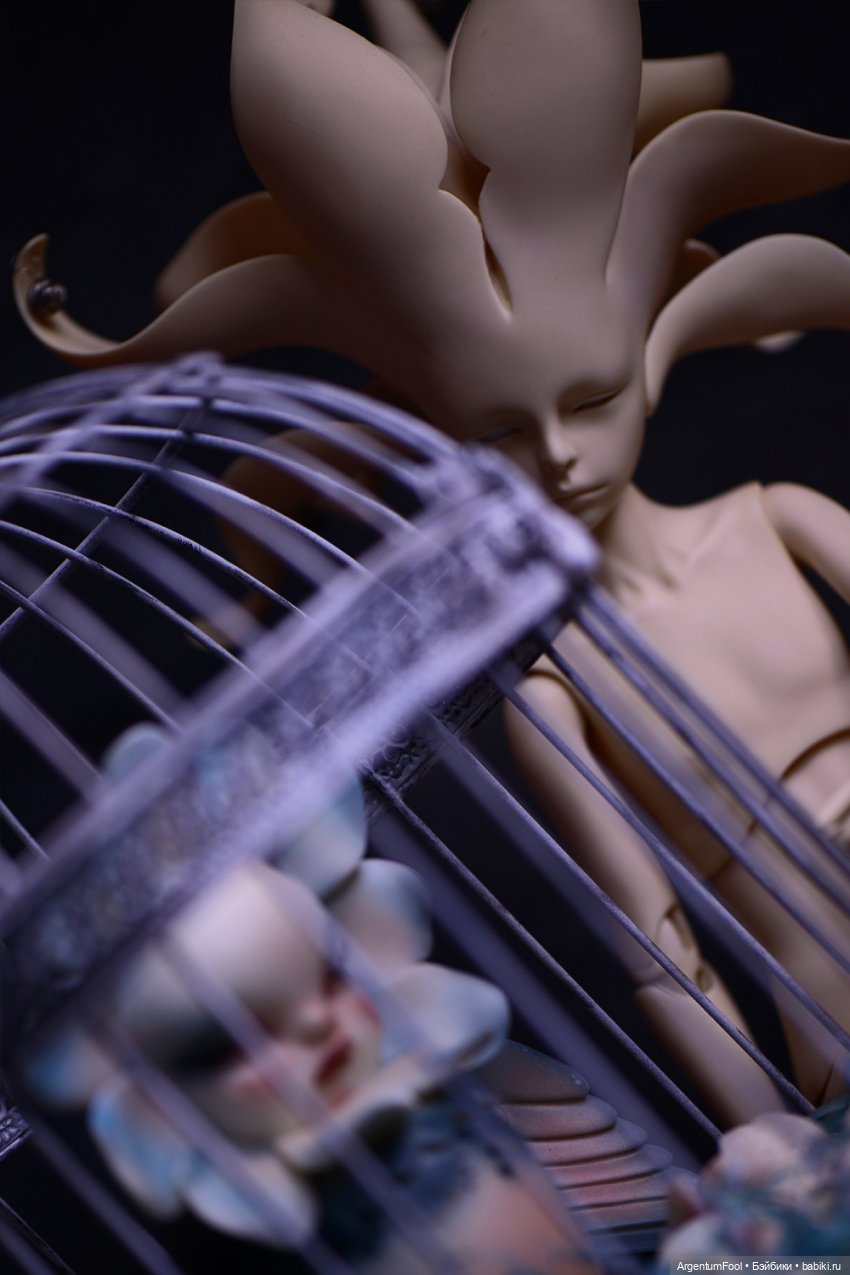 Черноглазые птицы и цветок (фото 8)