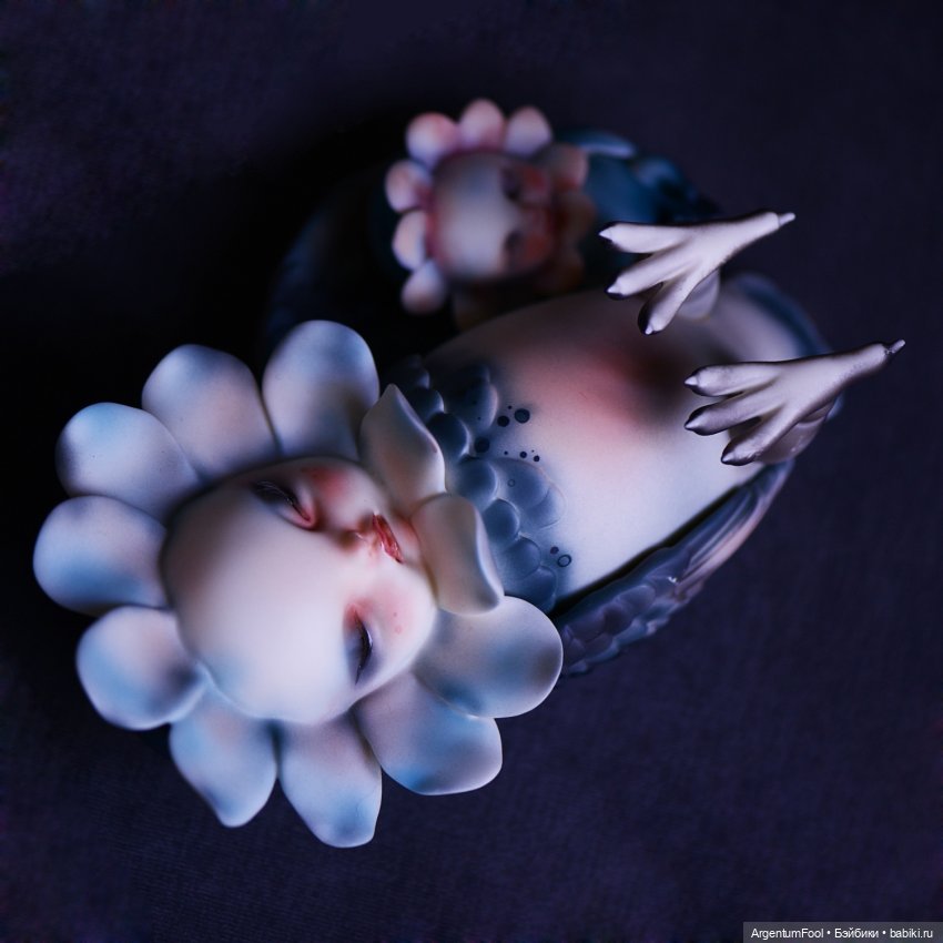 Черноглазые птицы и цветок