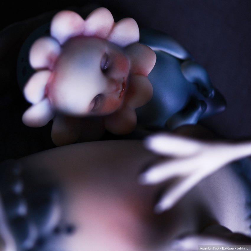 Черноглазые птицы и цветок (фото 2)