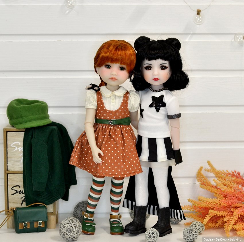 Дороти приехала — Куклы Ruby Red (Руби Ред) Fashion Friends: Siblies